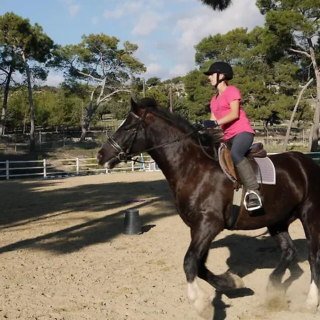 Hg37 Kopiaste - Newly Refurbished With Private Pool & Private Garden, Aphrodite Hills